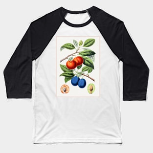 Hand drawn plum Baseball T-Shirt